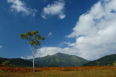 otback scenary